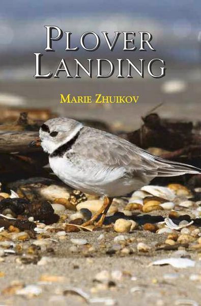 Produktbild: Plover Landing