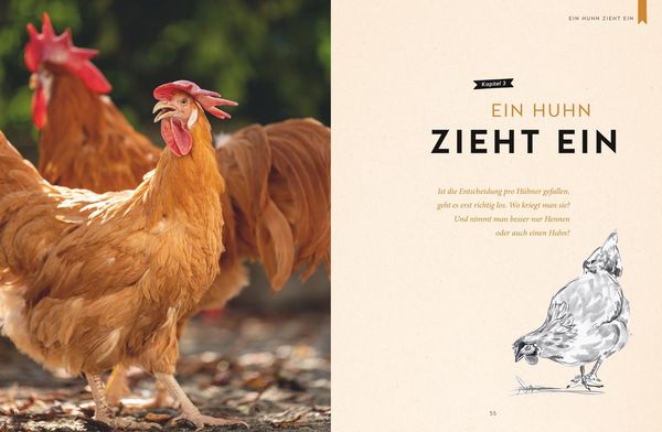 Produktbild: H&uuml;hnerliebe
