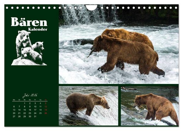 Produktbild: B&auml;renkalender (Wandkalender 2026 DIN A4 quer), CALVENDO Monatskalender