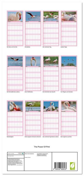 Produktbild: Familienplaner 2026 - The Power Of Pink mit 5 Spalten (Wandkalender, 21 x 45 cm) CALVENDO