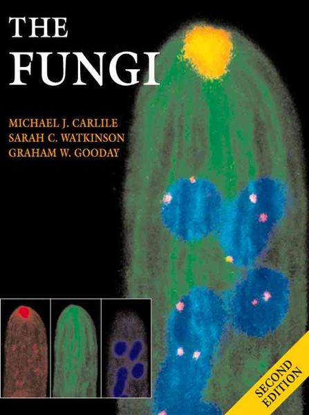 Produktbild: The Fungi