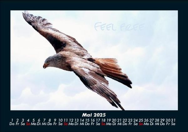 Produktbild: Adler 2025 Fotokalender DIN A5
