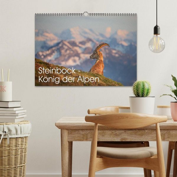 Produktbild: Steinbock - K&ouml;nig der Alpen (Wandkalender 2026 DIN A3 quer), CALVENDO Monatskalender