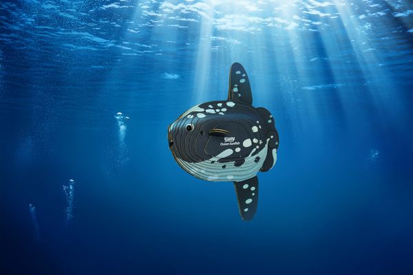 Produktbild: EUGY - 3D Bastelset Mondfisch