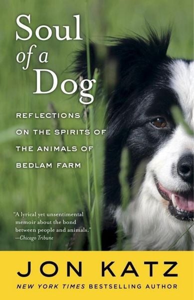 Produktbild: Soul of a Dog