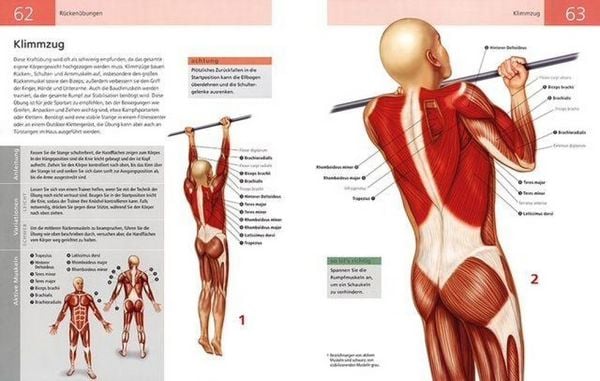 Produktbild: Die Anatomie von Stretching und Fitness