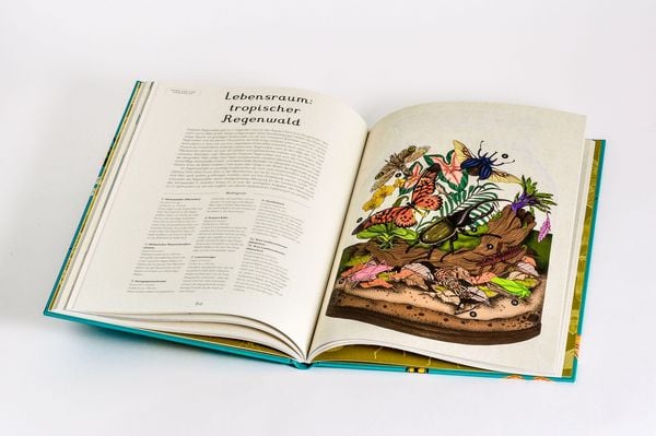 Produktbild: Das Museum der Insekten