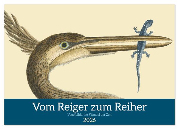 Produktbild: Vom Reiger zum Reiher (Wandkalender 2026 DIN A2 quer), CALVENDO Monatskalender