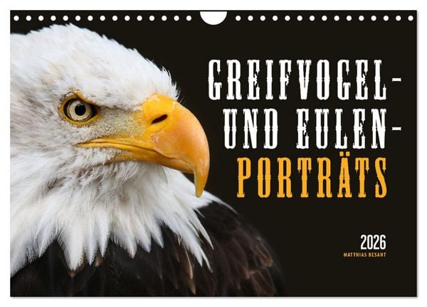 GREIFVOGEL- UND EULENPORTRÄTS (Wandkalender 2026 DIN A4 quer), CALVENDO Monatskalender