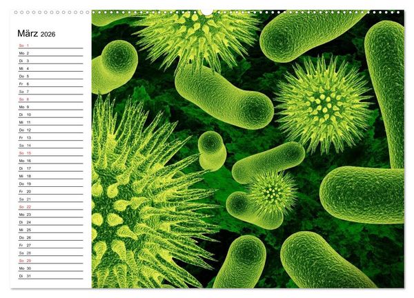 Produktbild: Mikrobiologie. Mikroorganismen, Genetik und Zellen (hochwertiger Premium Wandkalender 2026 DIN A2 quer), Kunstdruck in Hochglanz