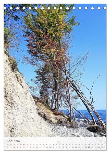 Produktbild: Im Nationalpark Jasmund - Naturwunder auf der Ostseeinsel R&uuml;gen (Tischkalender 2026 DIN A5 hoch), CALVENDO Monatskalender