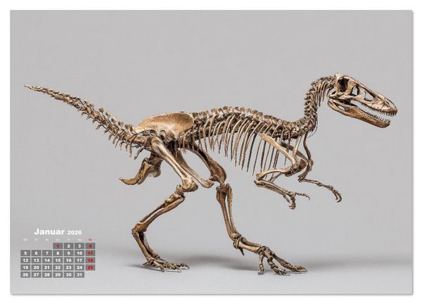 Produktbild: Knochen der Giganten - Dinosaurier im Portr&auml;t (Wandkalender 2026 DIN A2 quer), CALVENDO Monatskalender