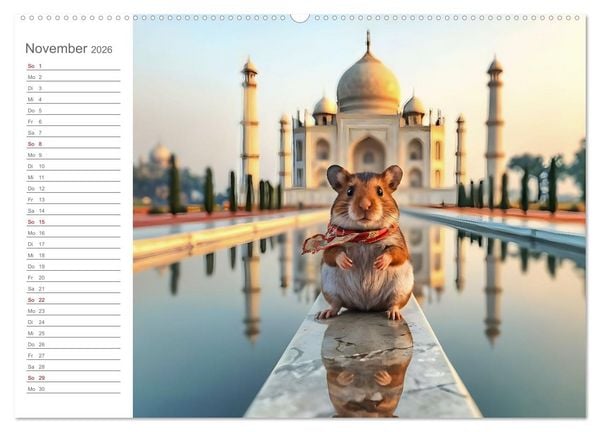 Produktbild: Nagertrip - Ein kleiner Hamster entdeckt die gro&szlig;e Welt (Wandkalender 2026 DIN A2 quer), CALVENDO Monatskalender