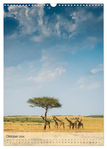 Produktbild: Emotionale Momente: Giraffen, die h&ouml;chsten Tiere der Welt. (Wandkalender 2026 DIN A3 hoch), CALVENDO Monatskalender