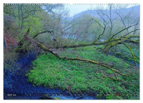 Produktbild: Ruhr-Wiesen (hochwertiger Premium Wandkalender 2026 DIN A2 quer), Kunstdruck in Hochglanz