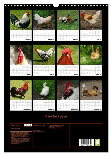 Produktbild: H&uuml;hner Terminplaner (Wandkalender 2026 DIN A3 hoch), CALVENDO Monatskalender