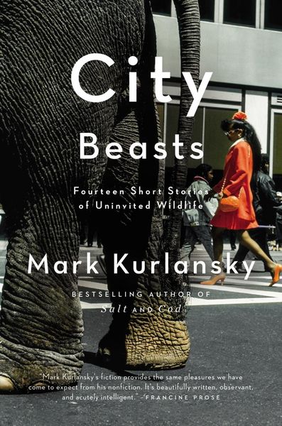 Produktbild: City Beasts