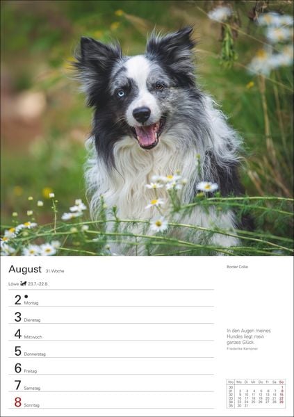 Produktbild: Hunde Wochenplaner 2027 - 53 faszinierende Fotografien