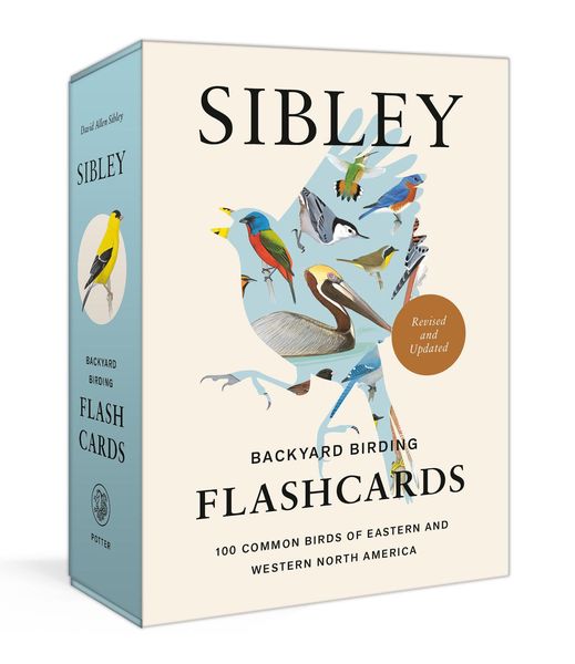 Produktbild: Sibley Backyard Birding Flashcards, Revised and Updated