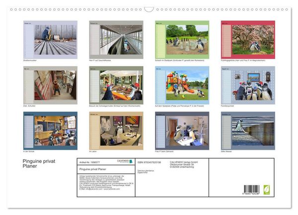 Produktbild: Pinguine privat Planer (Wandkalender 2026 DIN A2 quer), CALVENDO Monatskalender