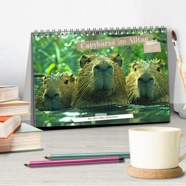Produktbild: Capybaras im Alltag - Ein Jahr voller Abenteuer (Tischkalender 2026 DIN A5 quer), CALVENDO Monatskalender