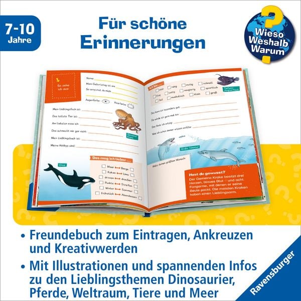 Produktbild: Wieso? Weshalb? Warum? - Meine Schulfreunde