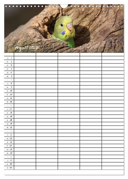Produktbild: Wellensittiche (Wandkalender 2027 DIN A3 hoch), CALVENDO Monatskalender