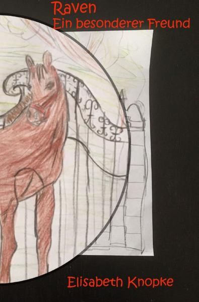 Raven, Taschenbuch von Elisabeth Knopke, Epubli, 9783741876561