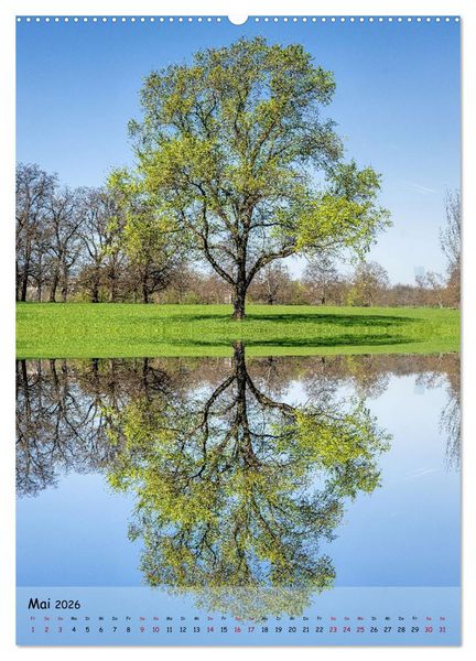 Produktbild: Spiegelb&auml;ume (hochwertiger Premium Wandkalender 2026 DIN A2 hoch), Kunstdruck in Hochglanz