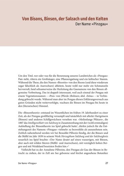 Produktbild: Geschichte des Pinzgaus