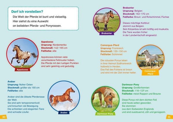 Produktbild: WAS IST WAS Erstes Lesen Band 7. Pferde und Ponys
