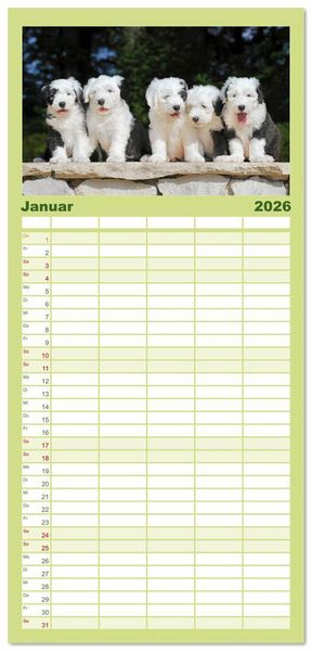 Produktbild: Familienplaner 2026 - In der Kinderstube bei Familie Bobtail mit 5 Spalten (Wandkalender, 21 x 45 cm) CALVENDO