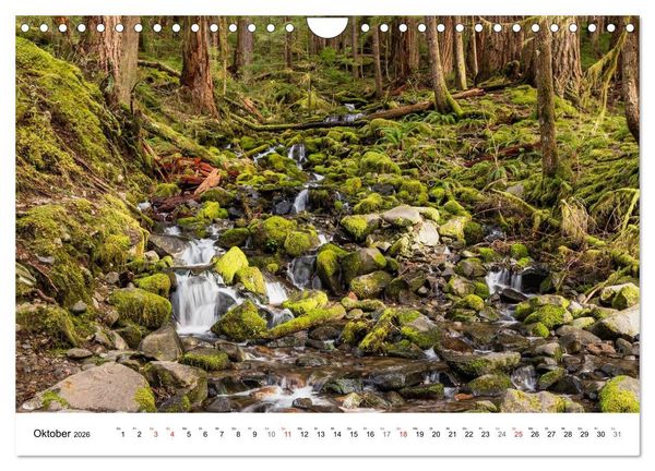 Produktbild: The Olympic National Park - Washington USA (Wandkalender 2026 DIN A4 quer), CALVENDO Monatskalender
