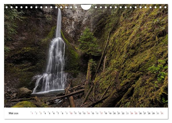 Produktbild: The Olympic National Park - Washington USA (Wandkalender 2026 DIN A4 quer), CALVENDO Monatskalender
