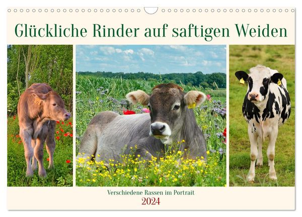 Glückliche Rinder auf saftigen Weiden (Wandkalender 2024 DIN A3 quer), CALVENDO Monatskalender