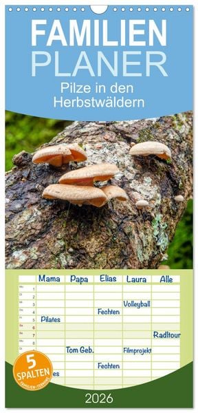 Produktbild: Familienplaner 2026 - Pilze in den Herbstw&auml;ldern mit 5 Spalten (Wandkalender, 21 x 45 cm) CALVENDO
