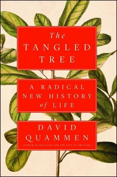 Produktbild: Quammen, D: Tangled Tree