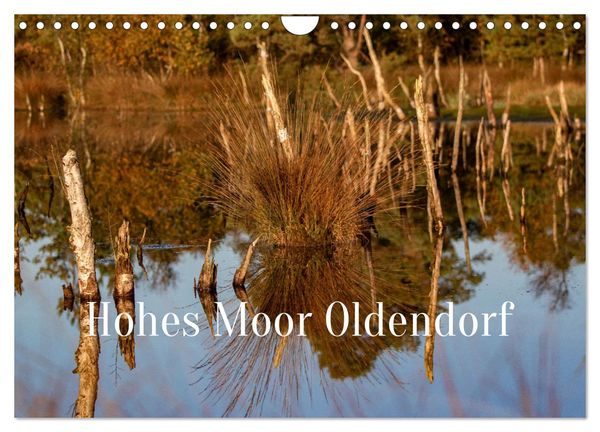 Hohes Moor Oldendorf (Wandkalender 2025 DIN A4 quer), CALVENDO Monatskalender