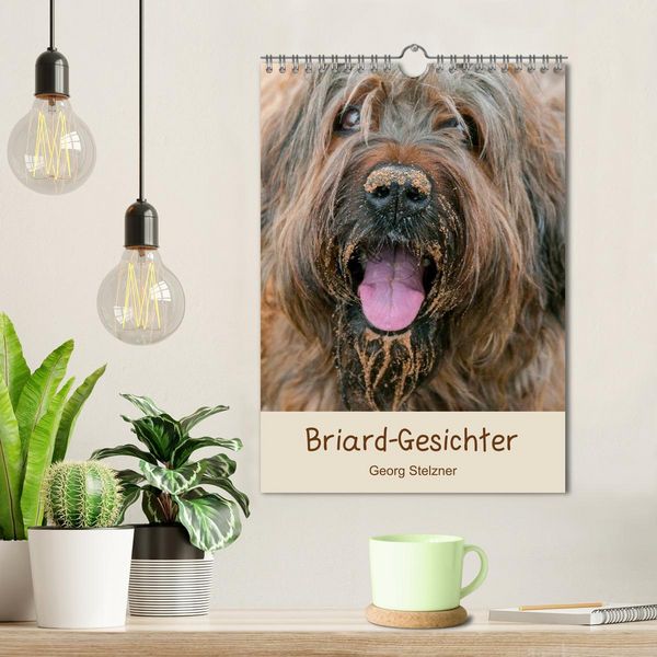 Produktbild: Briard-Gesichter (Wandkalender 2026 DIN A4 hoch), CALVENDO Monatskalender