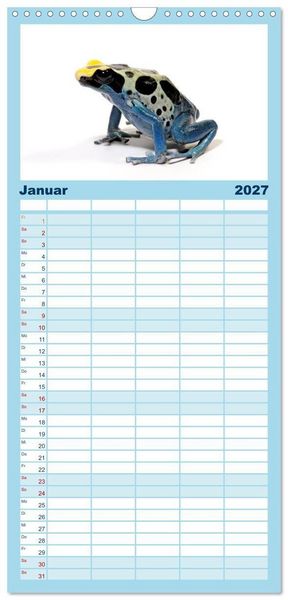 Produktbild: Familienplaner 2027 - Farbenpracht der Fr&ouml;sche mit 5 Spalten (Wandkalender, 21 x 45 cm) CALVENDO