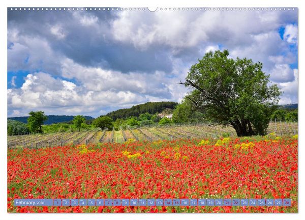 Produktbild: Discover the Beauty of Provence (Wall Calendar 2026 DIN A2 landscape), CALVENDO 12 Month Wall Calendar