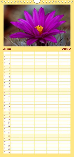 Produktbild: Bl&uuml;tensymphonie - Kakteen und Sukkulenten - Familienplaner hoch (Wandkalender 2022 , 21 cm x 45 cm, hoch)