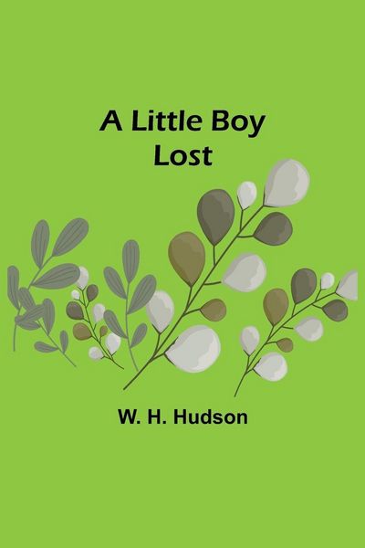 Produktbild: A Little Boy Lost