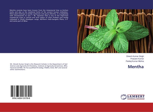 Produktbild: Mentha