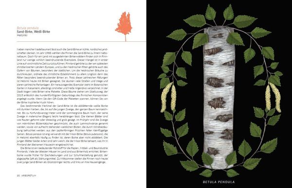 Produktbild: Arboretum. 70 B&auml;ume - 70 St&auml;dte
