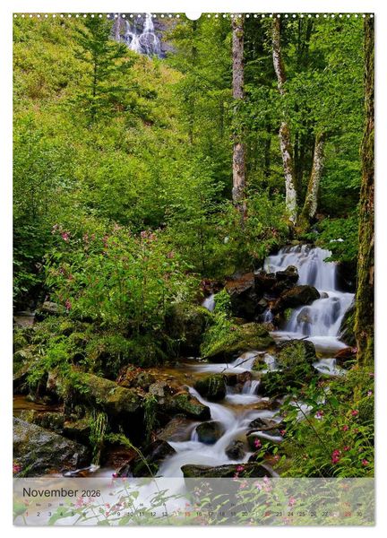 Produktbild: Alles im Fluss - Schwarzwaldwasser (Wandkalender 2026 DIN A2 hoch), CALVENDO Monatskalender