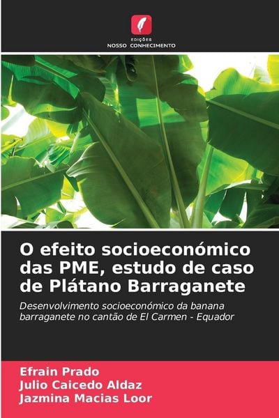 Produktbild: O efeito socioecon&oacute;mico das PME, estudo de caso de Pl&aacute;tano Barraganete