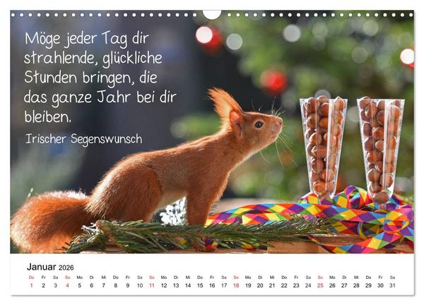 Produktbild: Der literarische Eichh&ouml;rnchen-Kalender (Wandkalender 2026 DIN A3 quer), CALVENDO Monatskalender