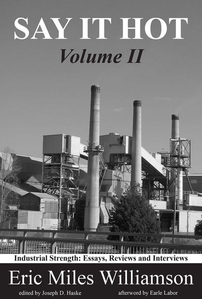 Produktbild: Say It Hot, Volume II:
