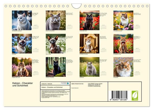 Produktbild: Katzen - Charakter und Sch&ouml;nheit (Wandkalender 2026 DIN A4 quer), CALVENDO Monatskalender
